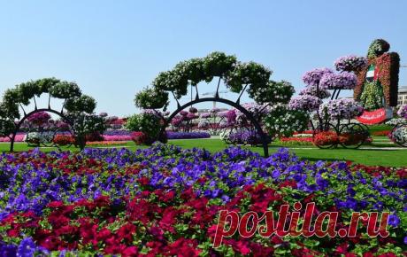 Dubai Miracle Garden - цветочное царство среди пустыни!