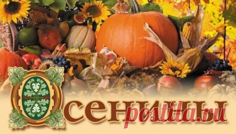 Все мы праздник осенины
Очень дружно отмечаем,
Ведь не зря уже пшеница
На полях не колосится.