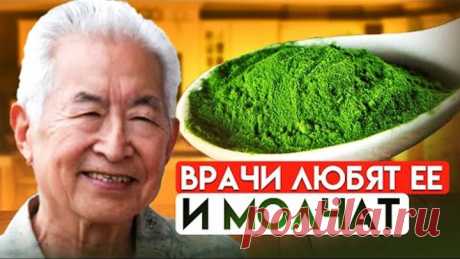 Аптекарь: врачи так исцеляются, но Вам не назначают! Что творит спирулина