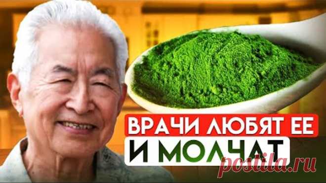 Аптекарь: врачи так исцеляются, но Вам не назначают! Что творит спирулина