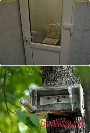 Чудеса в решете | Как прекрасен этот мир