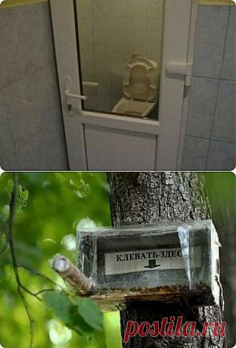 Чудеса в решете | Как прекрасен этот мир