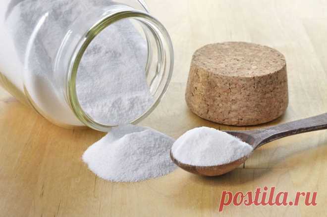 Помощники садовода из аптеки и хозяйственного магазина