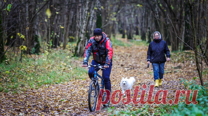 Психолог Абравитова посоветовала мотивировать себя на прогулку в холодную погоду. Психолог Марианна Абравитова рассказала о необходимости мотивации для прогулок в холодную погоду. Читать далее