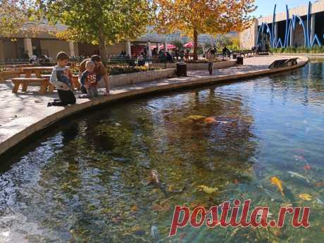 (1) Facebook