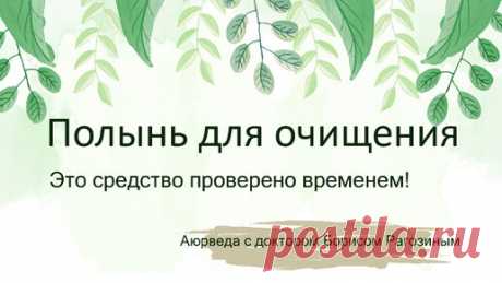 Полынь для очищения. Это средство проверено временем! | Школа аюрведы Бориса Рагозина | Дзен