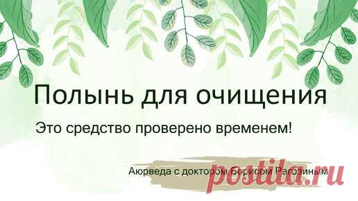 Полынь для очищения. Это средство проверено временем! | Школа аюрведы Бориса Рагозина | Дзен