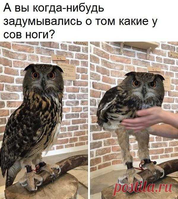 Наша Чудесная Планета: Наука и факты