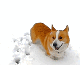 Мой Мир@Mail.Ru