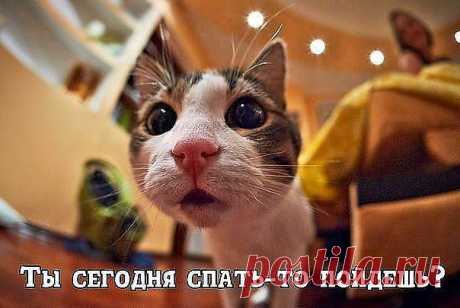 САМЫЕ ЛУЧШИЕ СТАТУСЫ...
-В-а-л-е-н-т-и -н-а ---