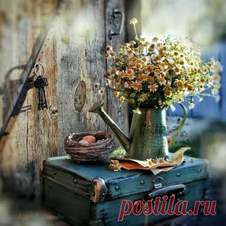 Мысли вслух.