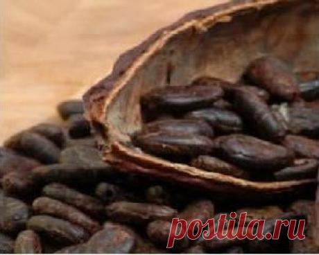 Какао-бобы - польза