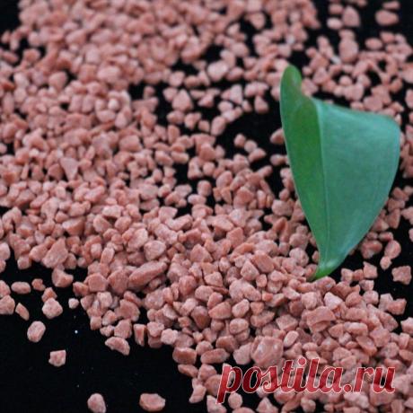 Калий - какой, как и когда При достаточном поступлении калия в растение:Процессы окисления в клетках идут интенсивнее
Усиливается клеточный обмен&nbsp;Растение легче переносит недостаток влаги&nbsp;Ускоряется фотосинтезВозрастает ферментативная активность&nbsp;Легче проходит обмен белков и углеводов&nbsp;Растения...