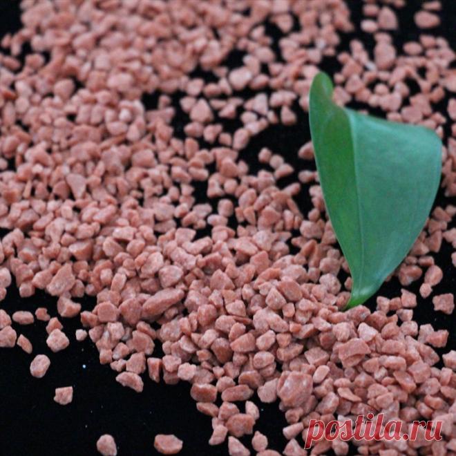 Калий - какой, как и когда При достаточном поступлении калия в растение:Процессы окисления в клетках идут интенсивнее
Усиливается клеточный обмен Растение легче переносит недостаток влаги Ускоряется фотосинтезВозрастает ферментативная активность Легче проходит обмен белков и углеводов Растения...