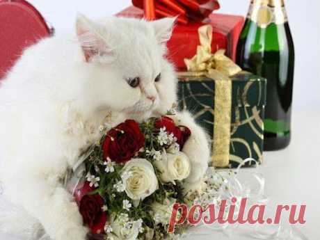 Google+