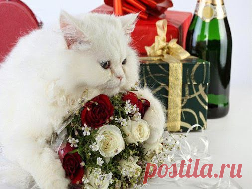 Google+