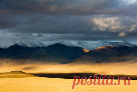 Вечернее золото Алтая. Автор фото – Юрий Сорокин: nat-geo.ru/photo/user/18833/