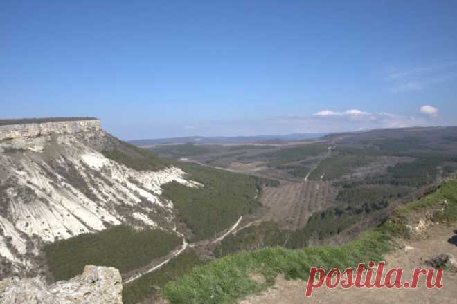 Жесть и тяжесть предпринимательства - Блог Алены Дроновой