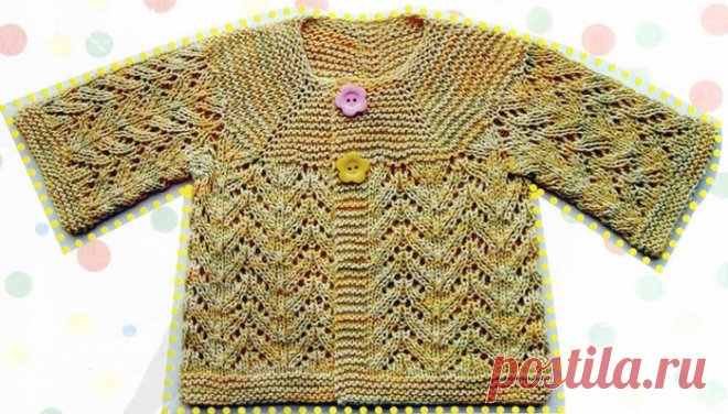 Жакет