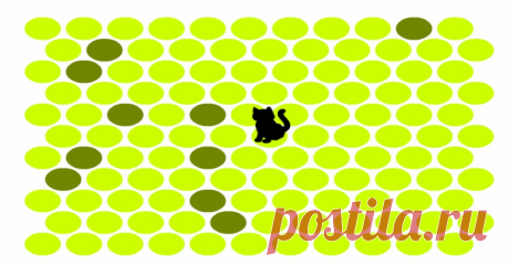 Cat Trap Game Try to out smart the cat! Don't let him escape. This game is addicting, be forewarned!