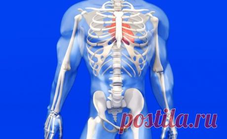 7 признаков дефицита жиров в рационе Для многих женщин слово «жирный» звучит, как приговор. В стремлении к идеальной фигуре они стараются прежде всего исключить из своего меню блюда, содержащие жиры, – не имея четкого представления о рол...