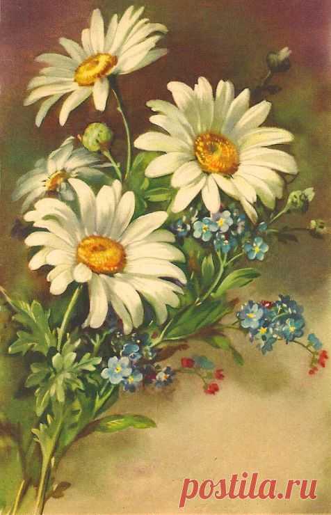 Pinterest