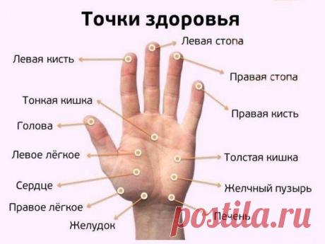 Здоровье. Йога. Красота. Сила. Дух.