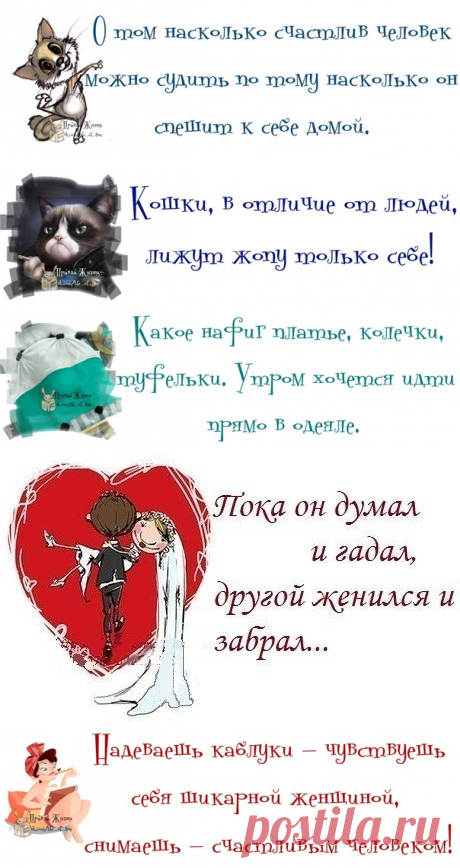 Прикольные фразочки в картинках. КЛАААССС!!схожу-ка я с ума..