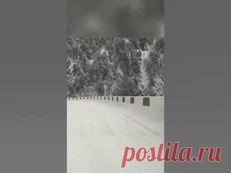 Маленькая девочка держала в руках два яблока - Притча