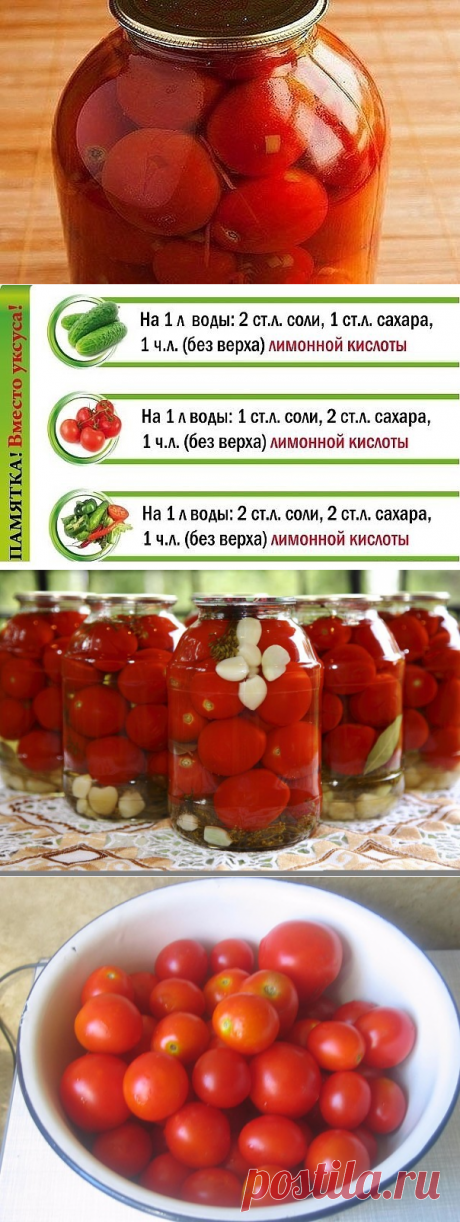 Закрываем помидоры без уксусаОдноклассники