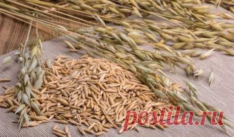 11 продуктов, способствующих очищению печени