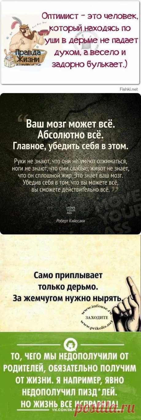 У оптимистов сбываются мечты. У пессимистов — кошмары... (пятничный подбодризм!))