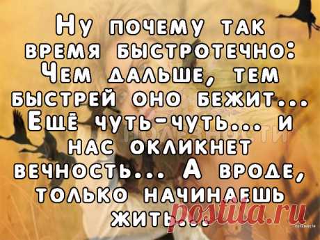 Не торопите жизнь, не торопите
На циферблате стрелок бытия..
А просто с удовольствием живите,
Судьбу свою за всё благодаря!