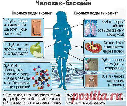 ПОЗНАНИЕ