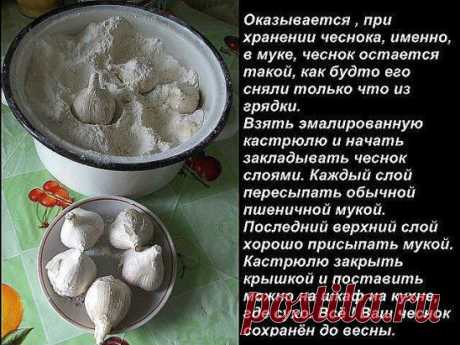 (3) Одноклассники