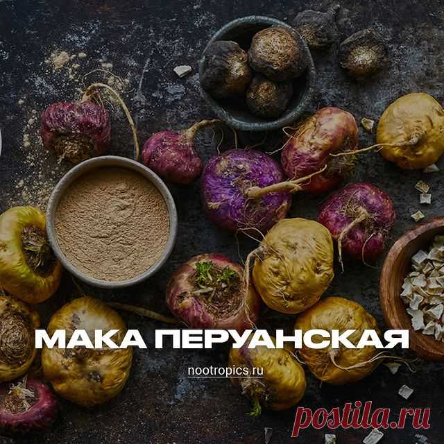 🌿Мака перуанская: что это за растение и какая от него польза?
⠀
🌿Уникальные качества растения обусловлены ценными компонентами. В корнеплоде много белков, редких аминокислот, жирных кислот, стиролов, сапонинов, танинов, витаминов и минералов. Такой богатый состав определяет эффективность применения продукта для улучшения самочувствия, поднятия тонуса, избавления от недугов.
⠀
🌿Уникальный корнеплод обладает следующими свойствами:
⠀
❇восполняет дефицит витаминов и минерал...