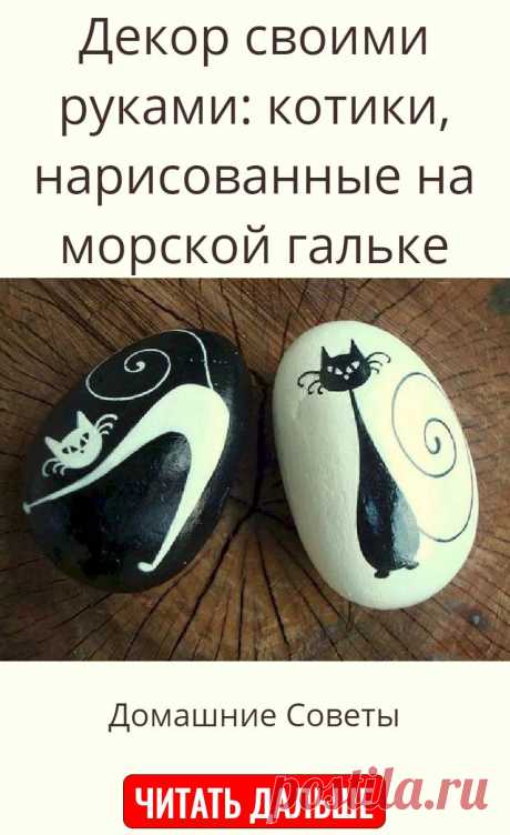 Декор своими руками: котики, нарисованные на морской гальке