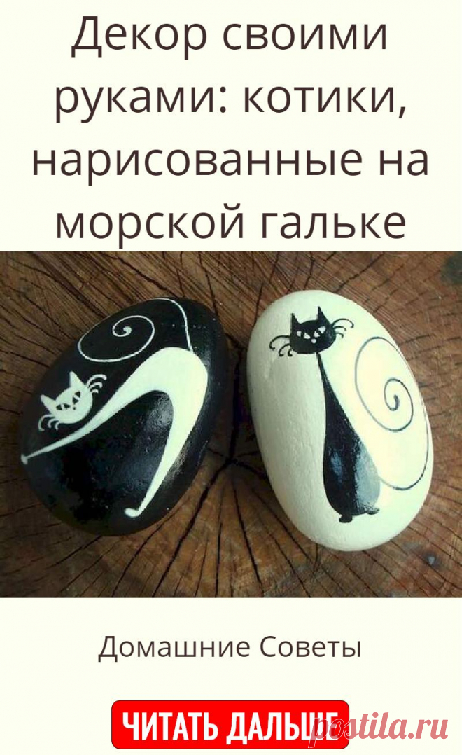 Декор своими руками: котики, нарисованные на морской гальке
