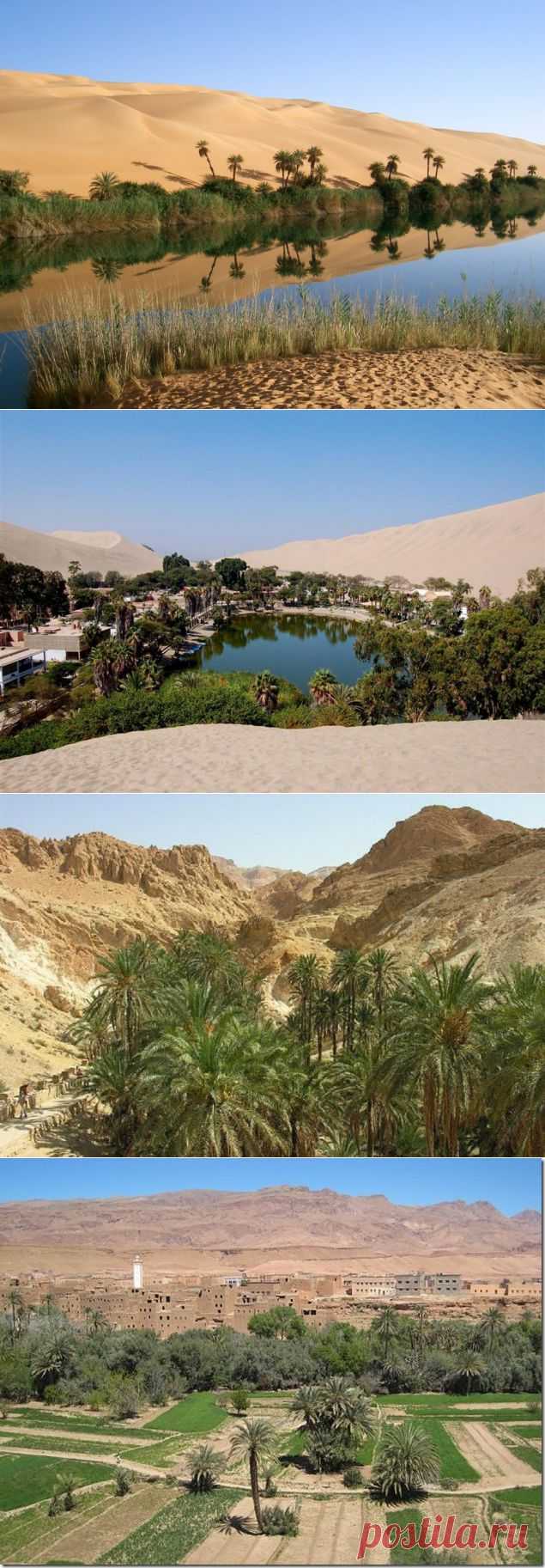 Самые красивые в мире оазисы — Наука и жизнь