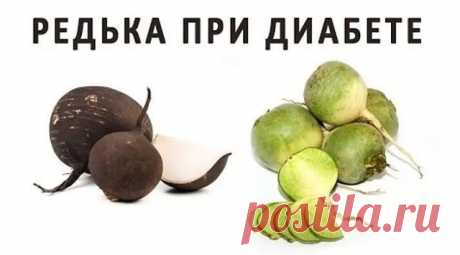 ЧЕРНАЯ РЕДЬКА ЛЕЧИТ ДИАБЕТ И ОТЕКИ:
12 ОТЛИЧНЫХ НАРОДНЫХ РЕЦЕПТОВ!

Сахарный диабет – заболевание эндокринной системы, обусловленное нарушением углеводного обмена.

В результате частичной или полной недостаточности инсулина глюкоза не попадает в клетки тканей, накапливаясь в крови. Характерные признаки диабета – жажда, зуд, усиленное мочевыделение, снижение веса при сохранении аппетита.

Диабет бывает двух типов: I тип – инсулинозависимый юношеский тип, II тип – изначально...