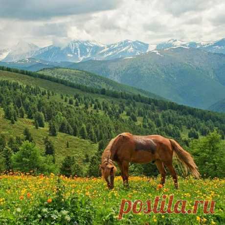 ღСказочный Алтай.