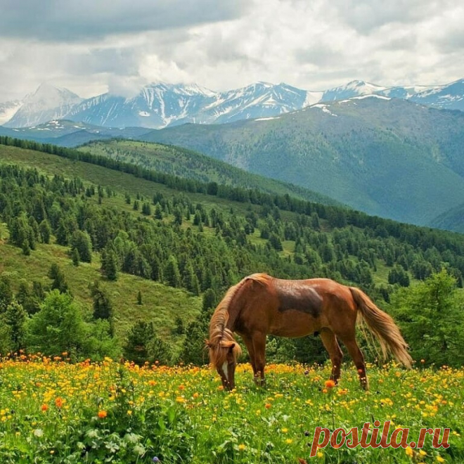 ღСказочный Алтай.