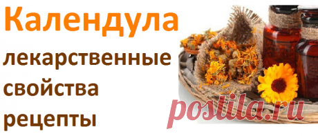 Календула, лекарственные свойства, рецепты | Советы целительницы