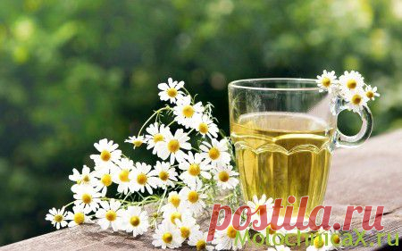 Чем лечить кандидозный вульвит? Как лечить кандидоз кожи и молочницу