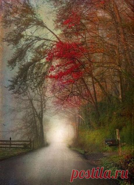 Маришок *** фото - | Православные знакомства - Православная Социальная Сеть