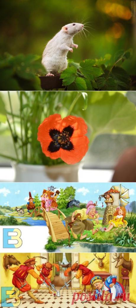 красота | Записи в рубрике красота | Клуб друзей с Ярушки.Красоты и хорошего настроения!!