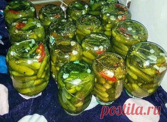 (16) Одноклассники