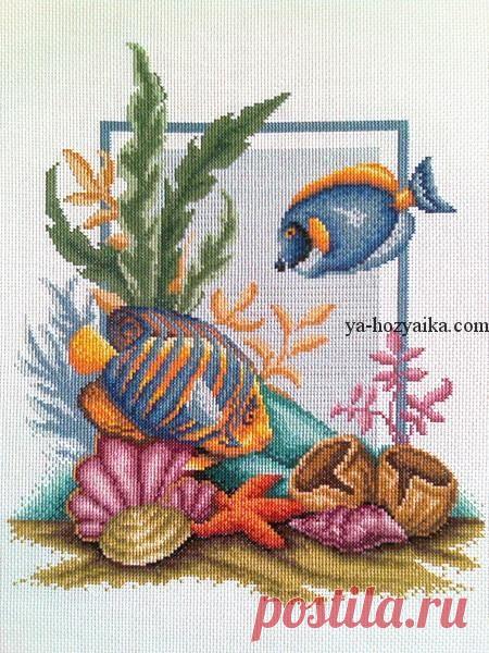 Вышивка рыбки схемы. Вышивка крестом рыбки схемы бесплатно