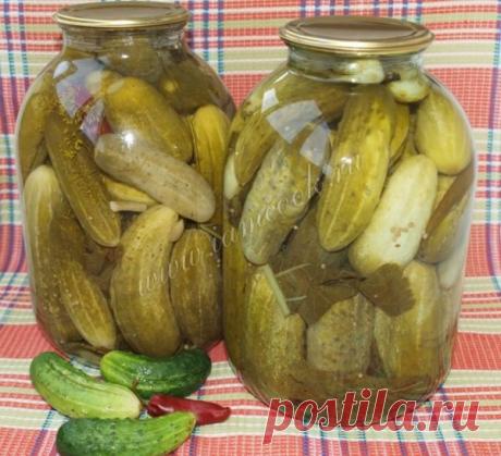 Маринованные огурцы, рецепт с фото. Маринуем огурцы на зиму в домашних условиях.