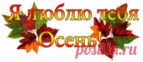 ХМЕЛЬНАЯ ОСЕНЬ